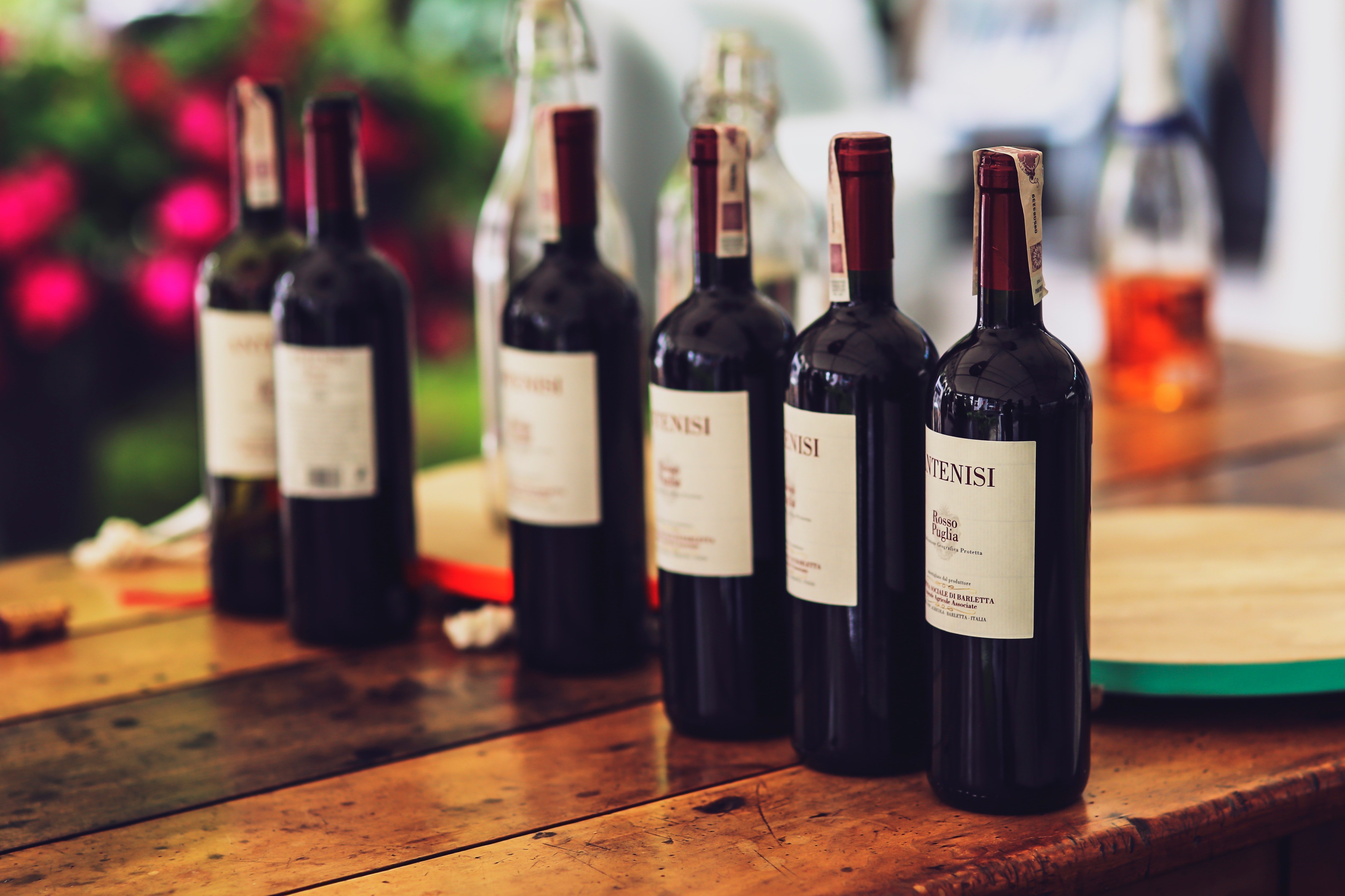Best Wine Options
